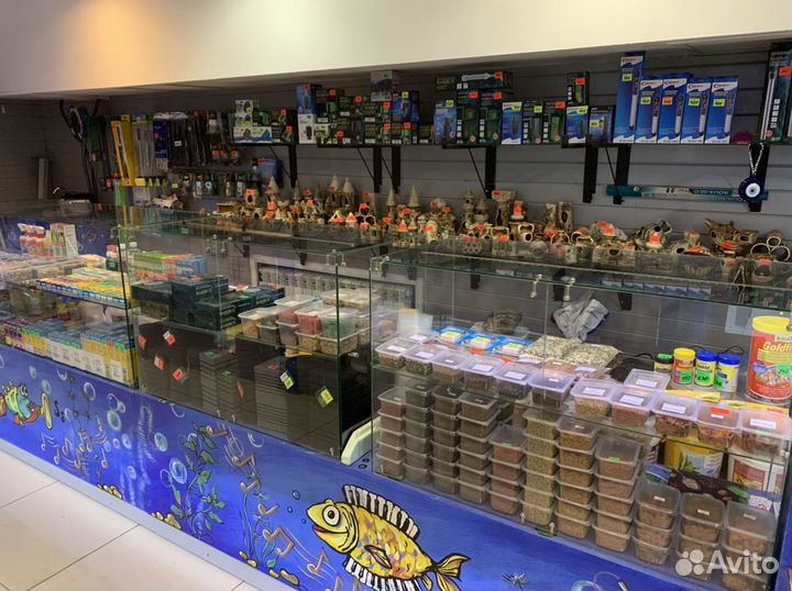 Аквариумные рыбки, все для аквариумистики