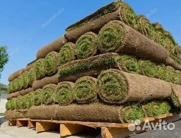 Газон рулонный гарантия