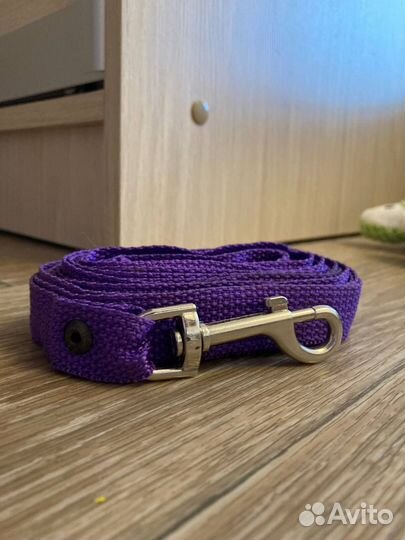 Амуниция для собак,фризби/фрисби для собак