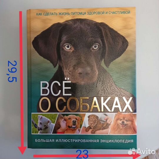 Книга в подарок. Всё о собаках энциклопедия