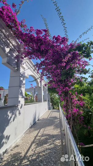 Отдых в Тайланде