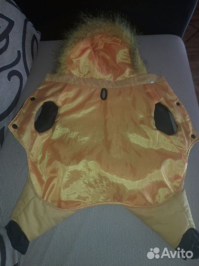 Костюм для маленькой собачки