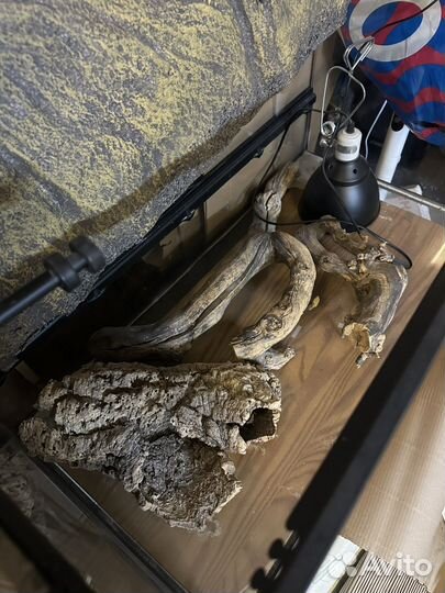 Террариум для рептилий 90х45х45