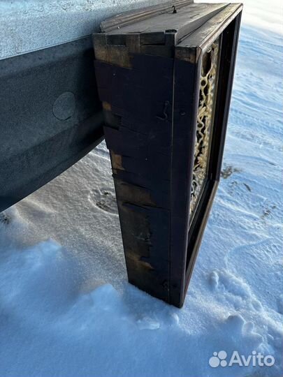 Киот виноградная лоза