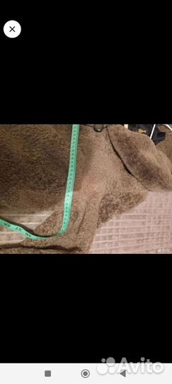 Шубка из овчины Керли