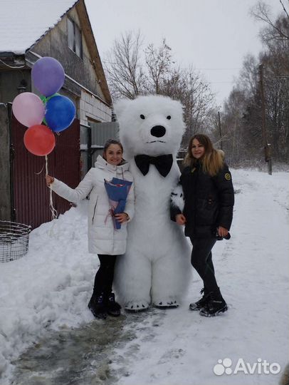 Мишка Умка на праздник