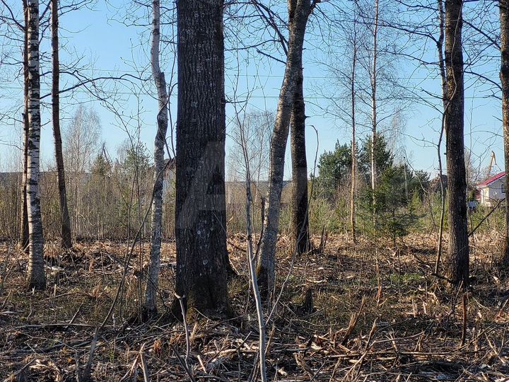 Участок 6 сот. (ИЖС)