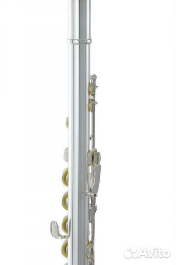 Флейта Roy Benson FL-402R