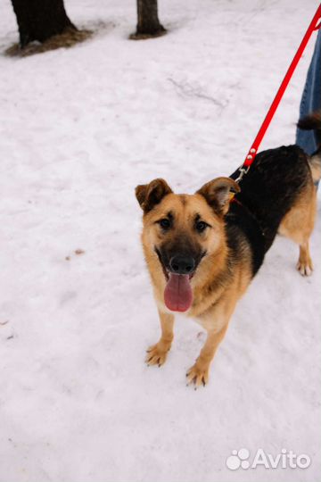 Уже не хлебный мякиш, уже ищет дом