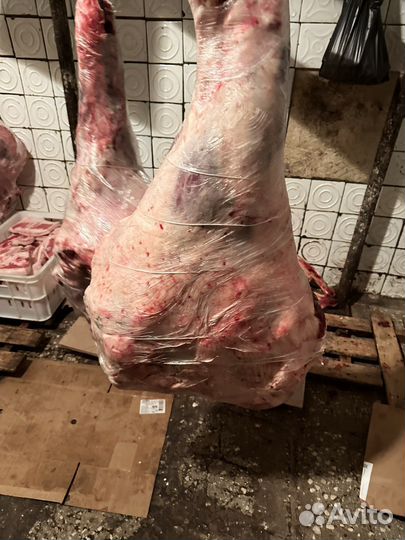 Мясо говядина