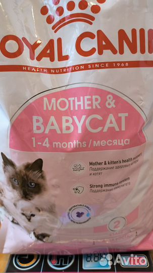 Корм для кошек royal canin babycat