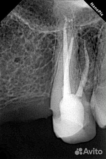 Врач стоматолог терапевт