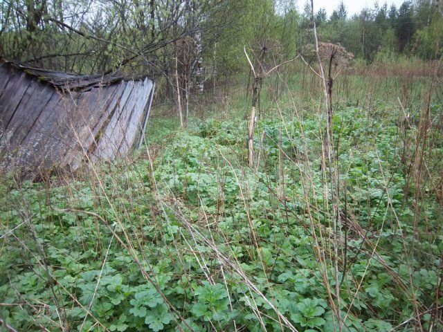 Участок 6 сот. (СНТ, ДНП)