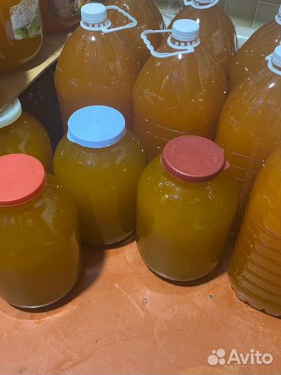 Мед свежий 2024 натур