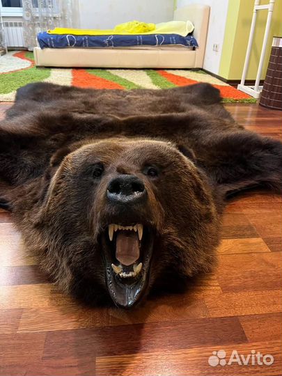 Шкура медведя имитация