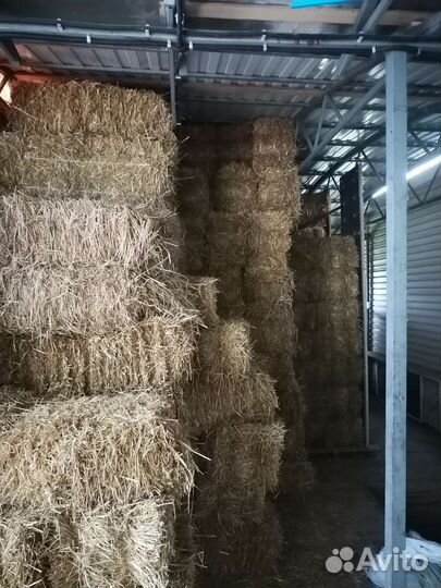 Солома в брикетах