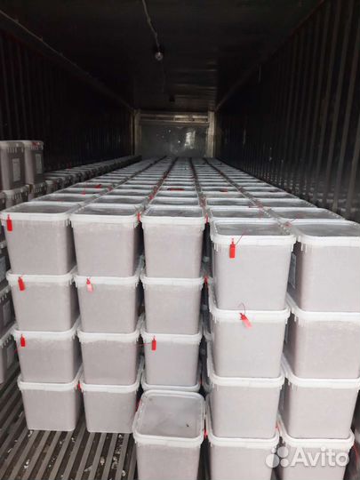 Икра красная опт горбуша 2023