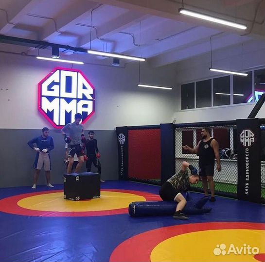 Борцовский ковер