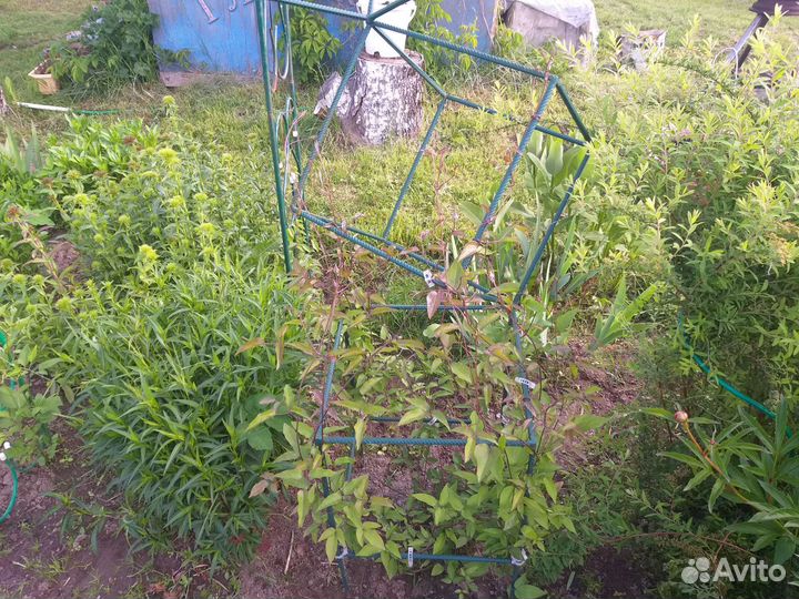 Опора,Шпалера для вьющихся растений