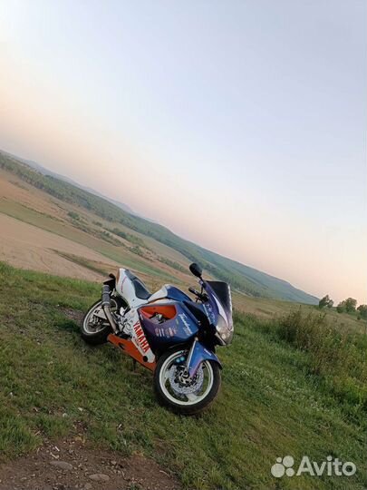 Yamaha yzf1000r Thunderace