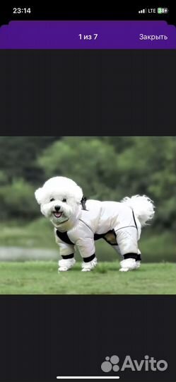 Комбинезон для собак