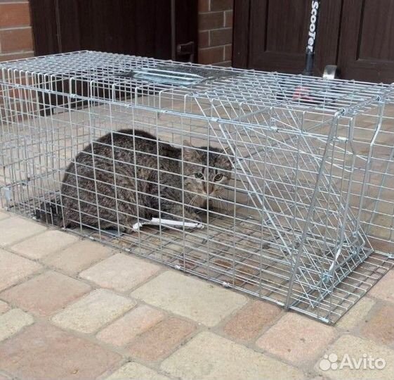 Клетка ловушка для кошек, кошколовка