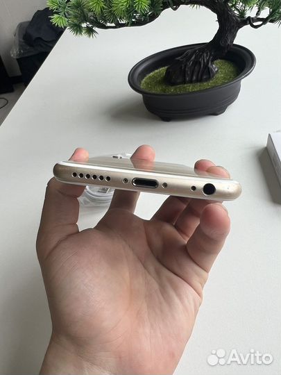 iPhone 6 64