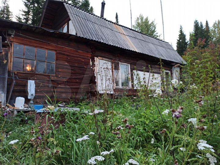 Участок 1,23 га (СНТ, ДНП)