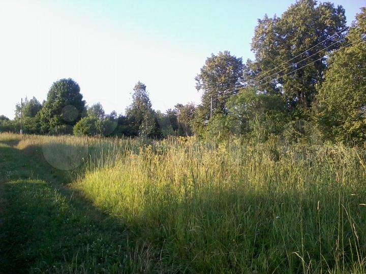 Участок 8 сот. (ИЖС)