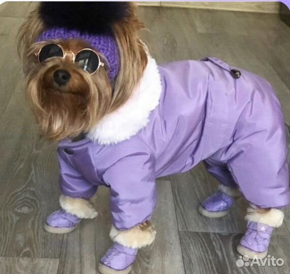 Костюм теплый для собаки