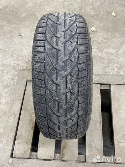 Tigar Winter 215/55 R17 98V