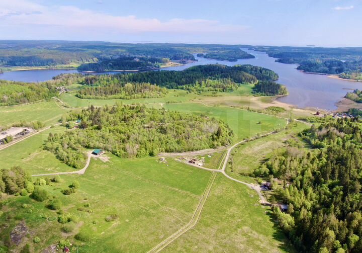 Участок 42 сот. (СНТ, ДНП)