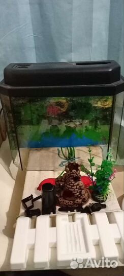 Аквариум