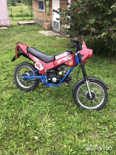 Зид пилот 50