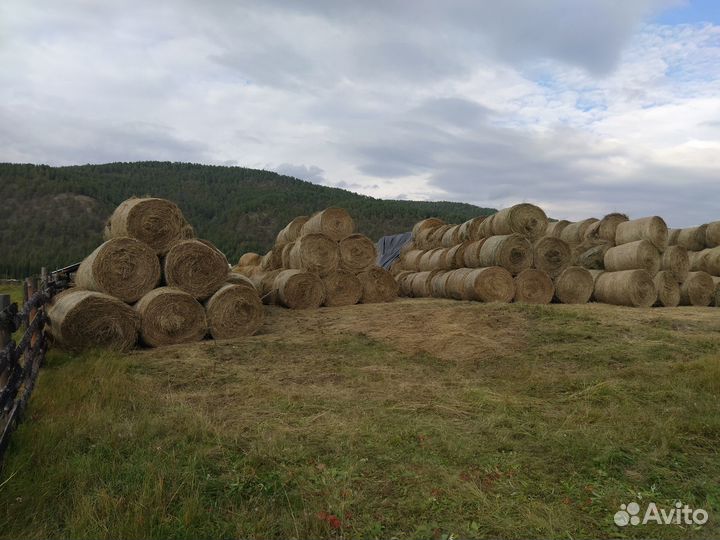 Продам фермерское хозяйство