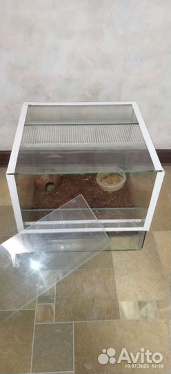 Террариум ручной работы