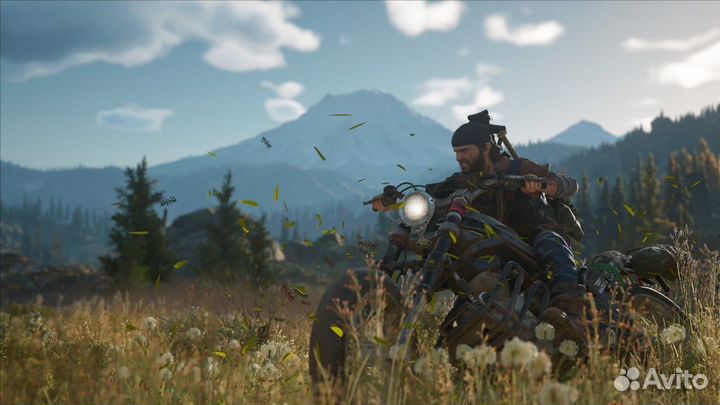 Days Gone Ps4/5, Подписки Ps plus Ps4/5, игры/допы