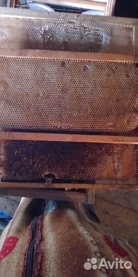 Рамки с сушью