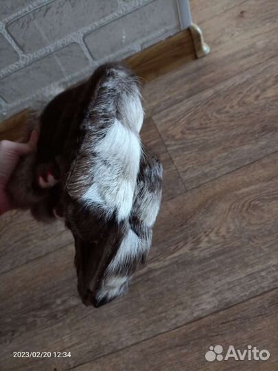 Кисы детские