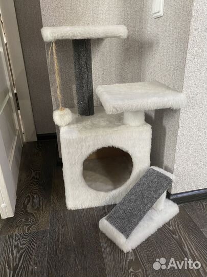 Бенгальская кошка
