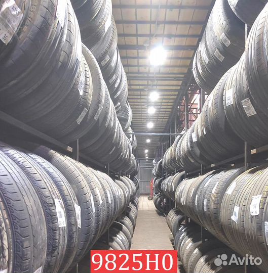 Semperit Speed Grip 2 205/55 R16 94V