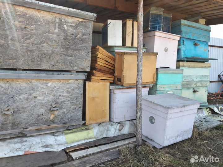 Улей для пчел бу
