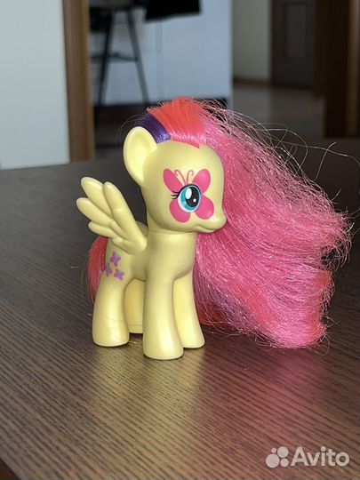 My little pony fluttershy, sandbar