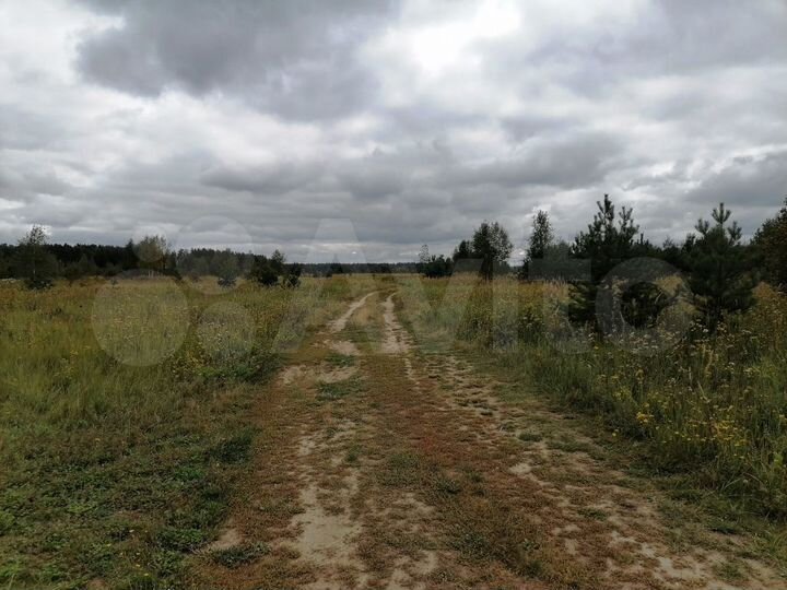 Участок 12,03 га (СНТ, ДНП)