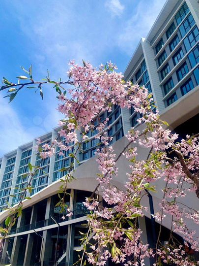 Торговая площадь, 11.1 м²