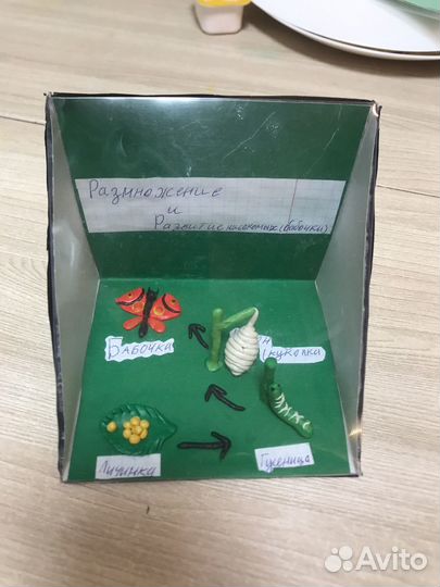 Поделка в школу. Цикл развития бабочки