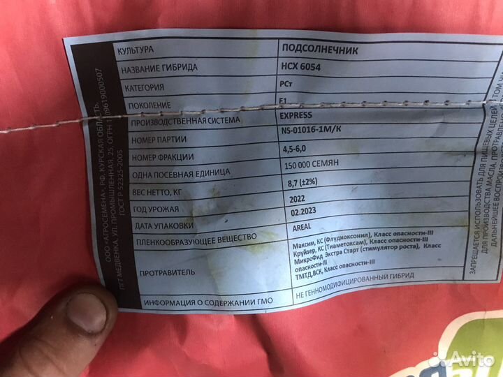 Семена подсолнечника