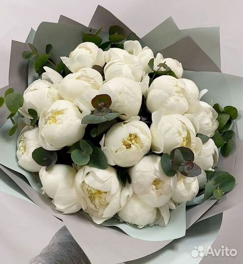 Пионы Букет пионов