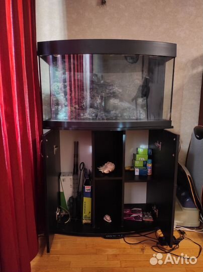 Аквариум Juwel Vision 180 литров и все все все