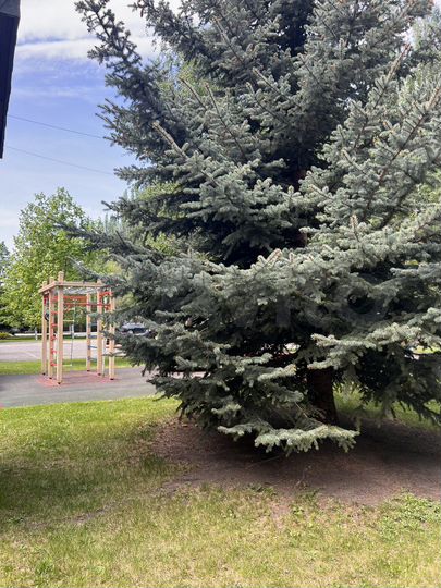 Аукцион: 5-к. квартира, 179,4 м², 2/3 эт.